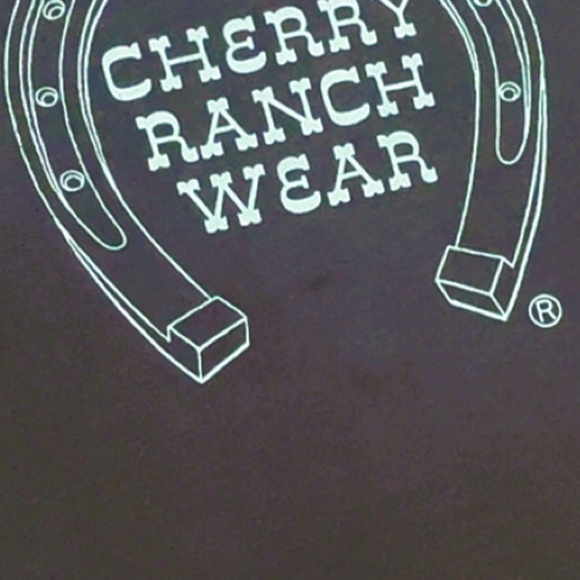 Cherry LA cropped baby tee size small - Picture 3 of 13